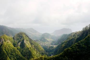 Utsikt över det frodiga landskapet på Madeira.