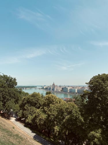 Utsikt över Pest och Donau