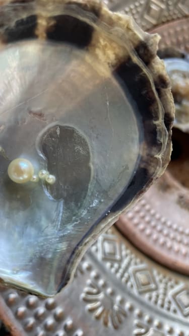 Perle i musling