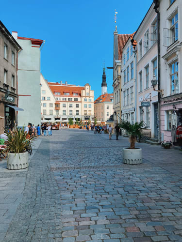 Gata i Tallinn