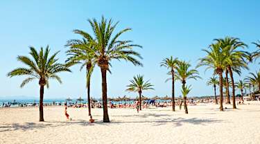 Alcudia