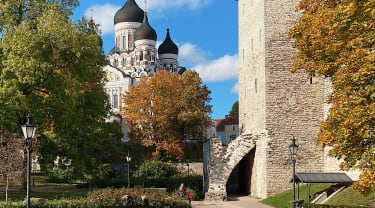 Park  Tallinn