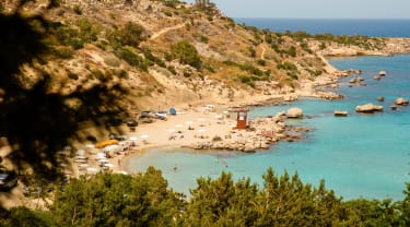 Strand och träd på Cypern