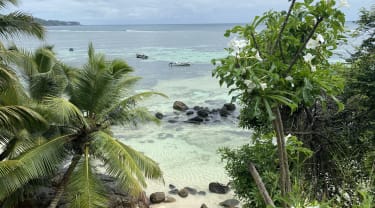 Ö-luffa på Seychellerna