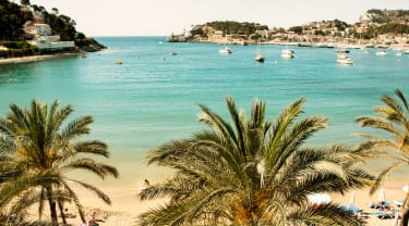 Strand med palmer och klarblått hav