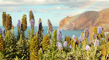 Madeira
