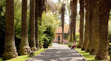 Promenad i Jardim Agrícola Tropical