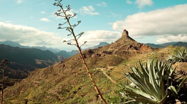 Vandringsresor till Gran Canaria
