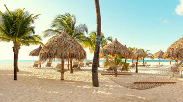 Strand med palmer och blå himmel