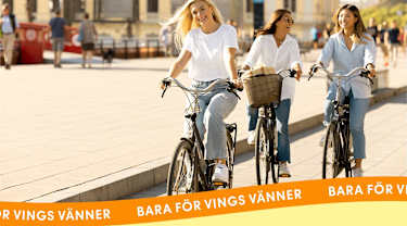 Vings vänner