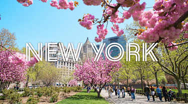 Upplev New York med Ving
