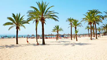 En vit sandstrand med palmer och en klarblå himmel.