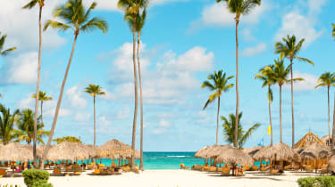 Strand med palmer och parasoller