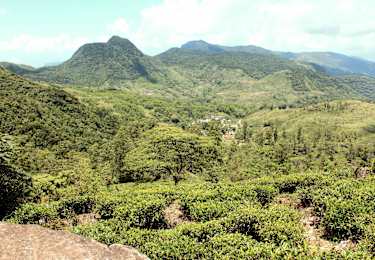 Sri Lanka