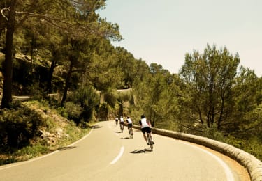 Cykelresor till Alcudia, Mallorca