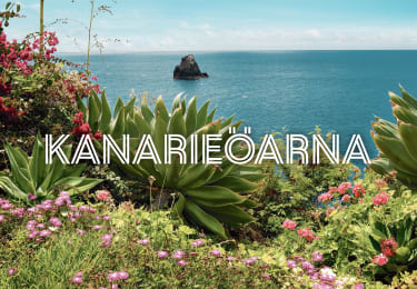 Kryssningar med Norwegian Cruise Lines kring Kanarieöarna