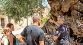 Jeepsafari till Ha-ravinen