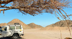 Jeepsafari