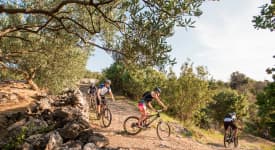 Biking Olive Route