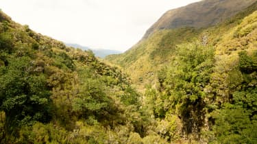 Sagolik vandring längs en av Madeiras vackraste levador