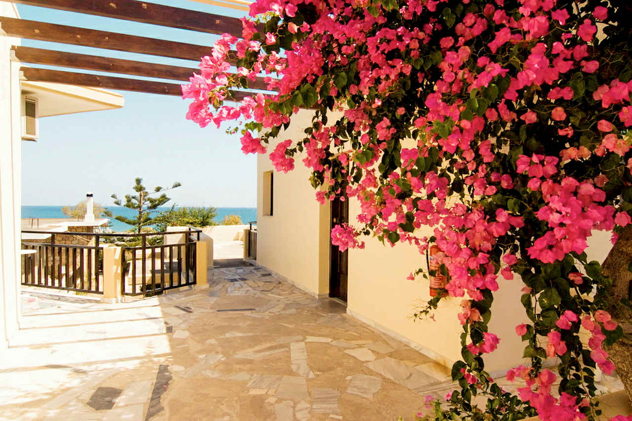 Bilder från hotellet Belvedere - nummer 1 av 29