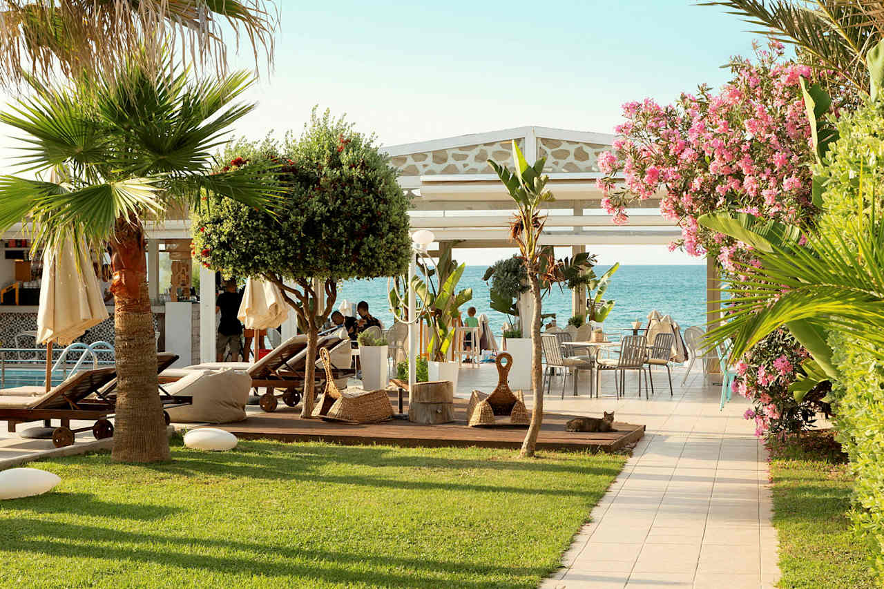 Bilder från hotellet Tropicana Beach Hotel - nummer 1 av 41