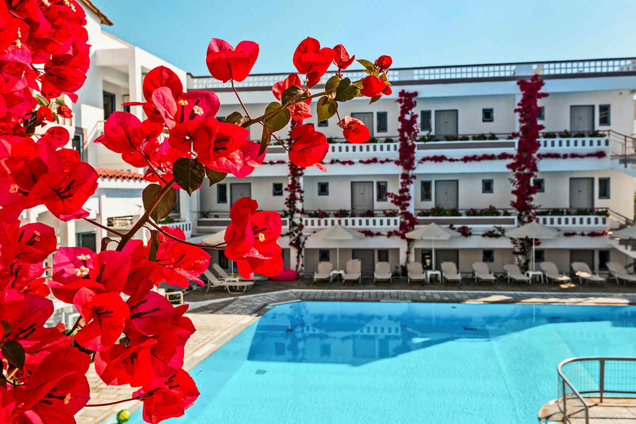 Bilder från hotellet Ariadne Rethymnon - nummer 1 av 22