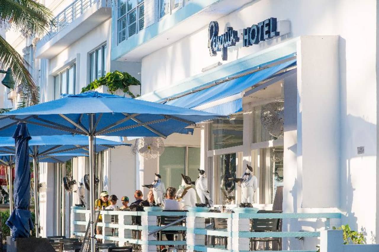 Bilder från hotellet Penguin Hotel - nummer 1 av 53