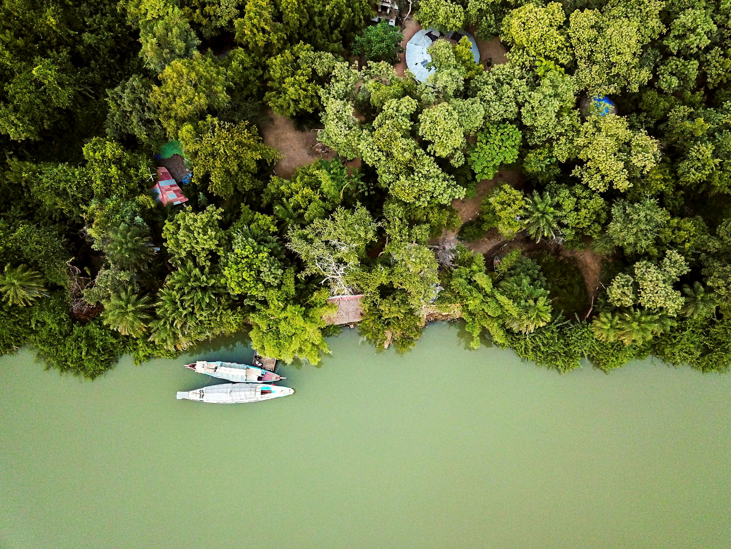 Flygfoto av en grönskande skog intill en flod, med två båtar vid kanten. (AI-genererad text)