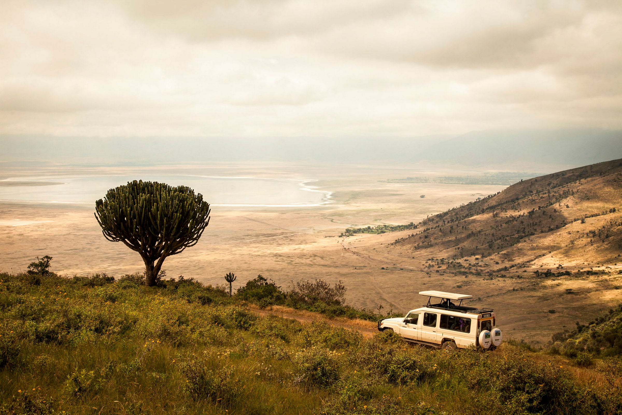 Game drive i Ngorongorokratern