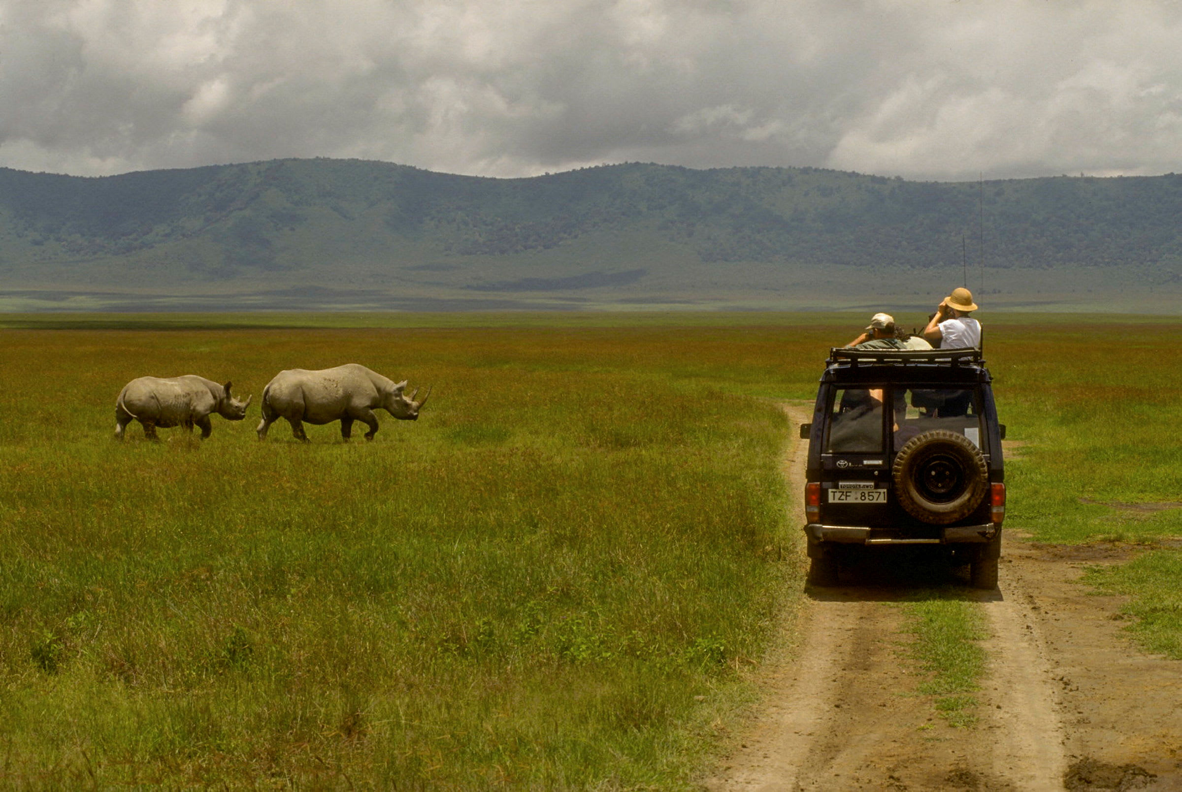 Game drive i Ngorongorokratern