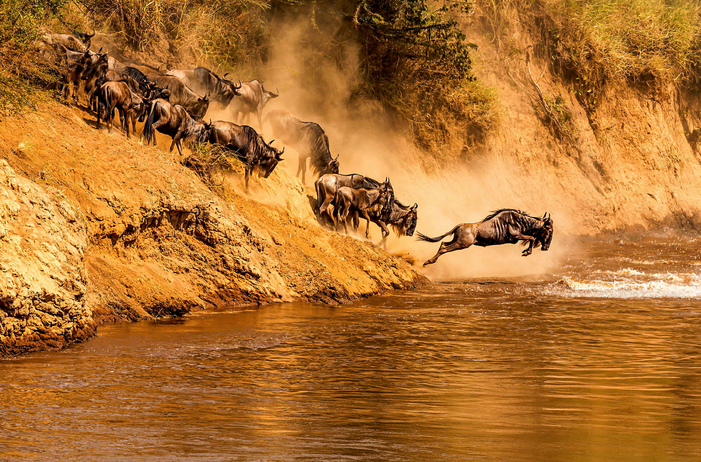 Den stora migrationen i Serengeti National Park