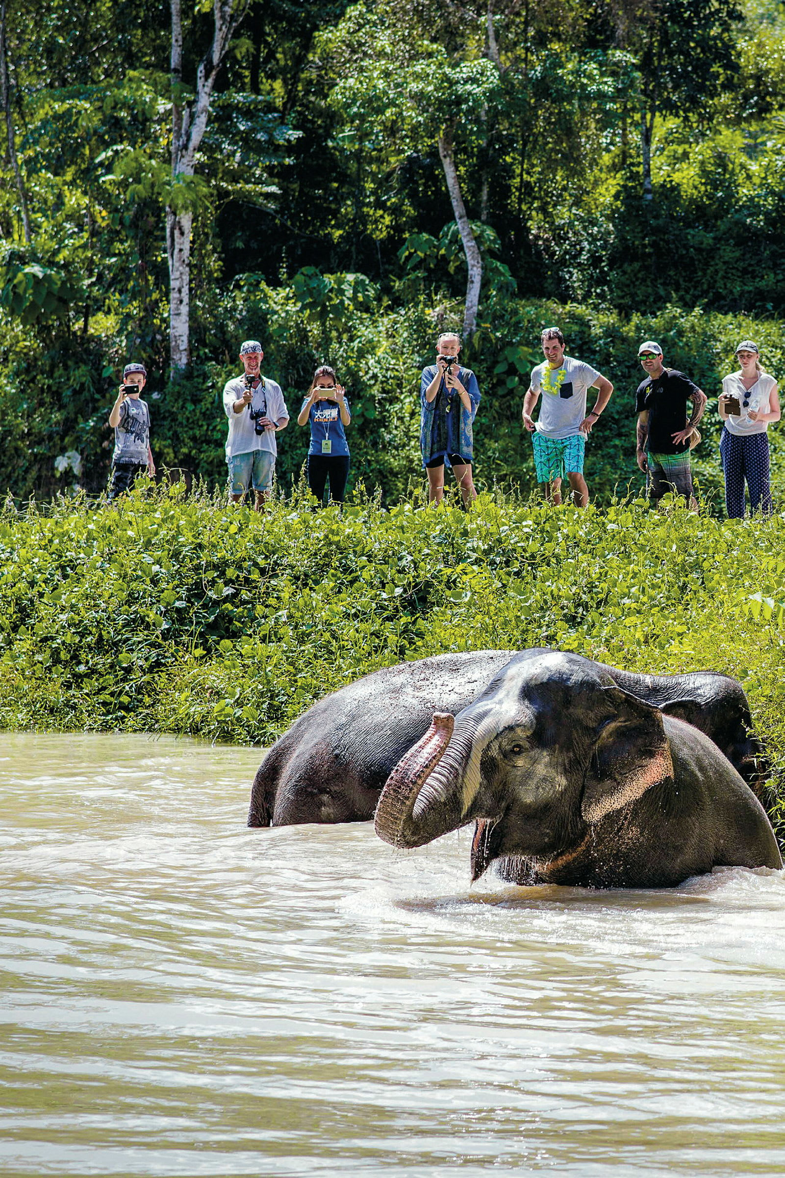 En elefant badar i ett vatten, med grön vegetation i bakgrunden. (AI-genererad text)
