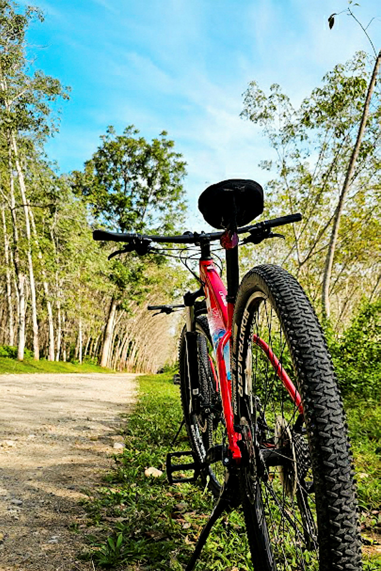 En röd cykel på en grusstig omgiven av träd. (AI-genererad text)