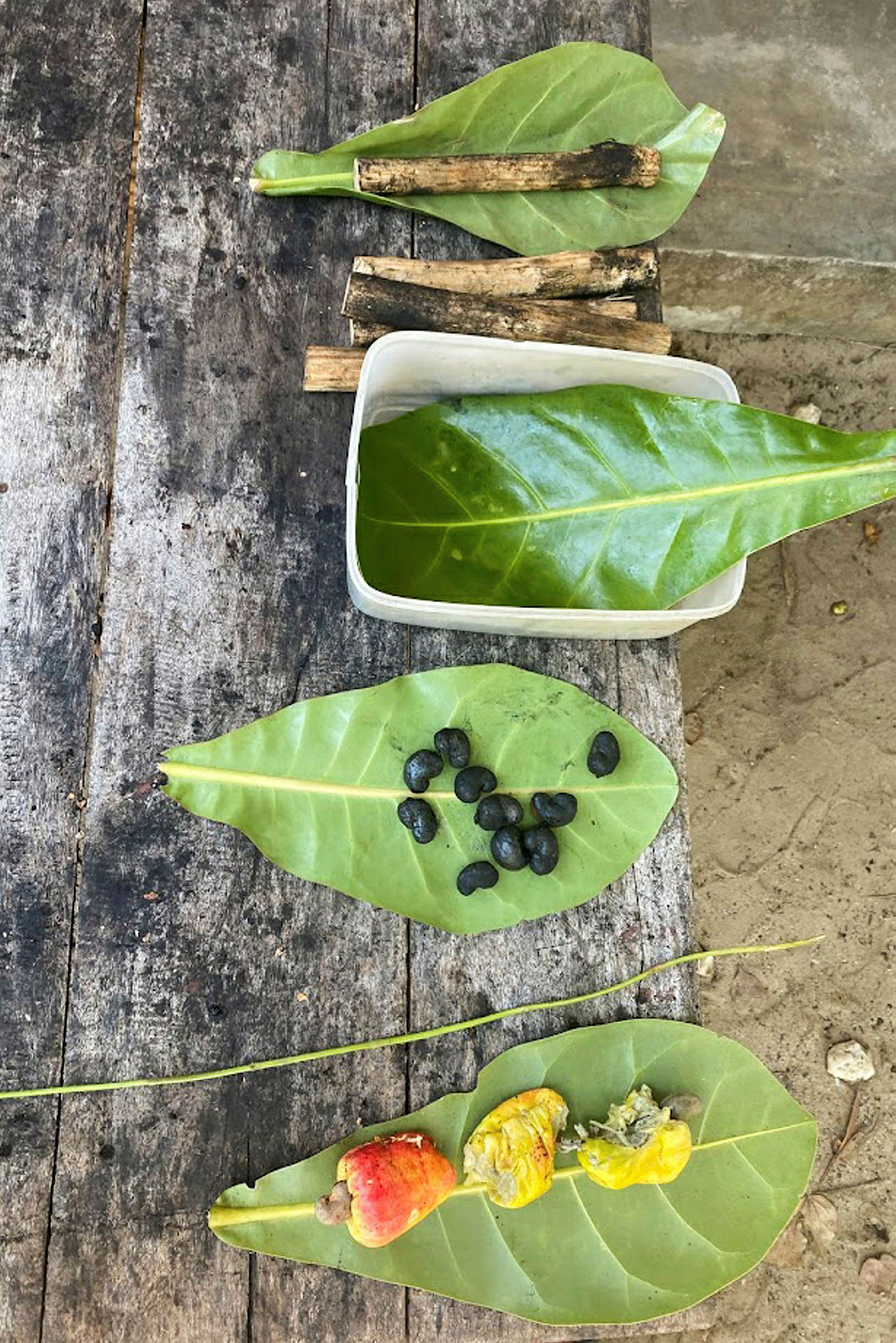 Ett träbord med blad, små trädgrenar, svarta frön och cashewnötter. (AI-genererad text)