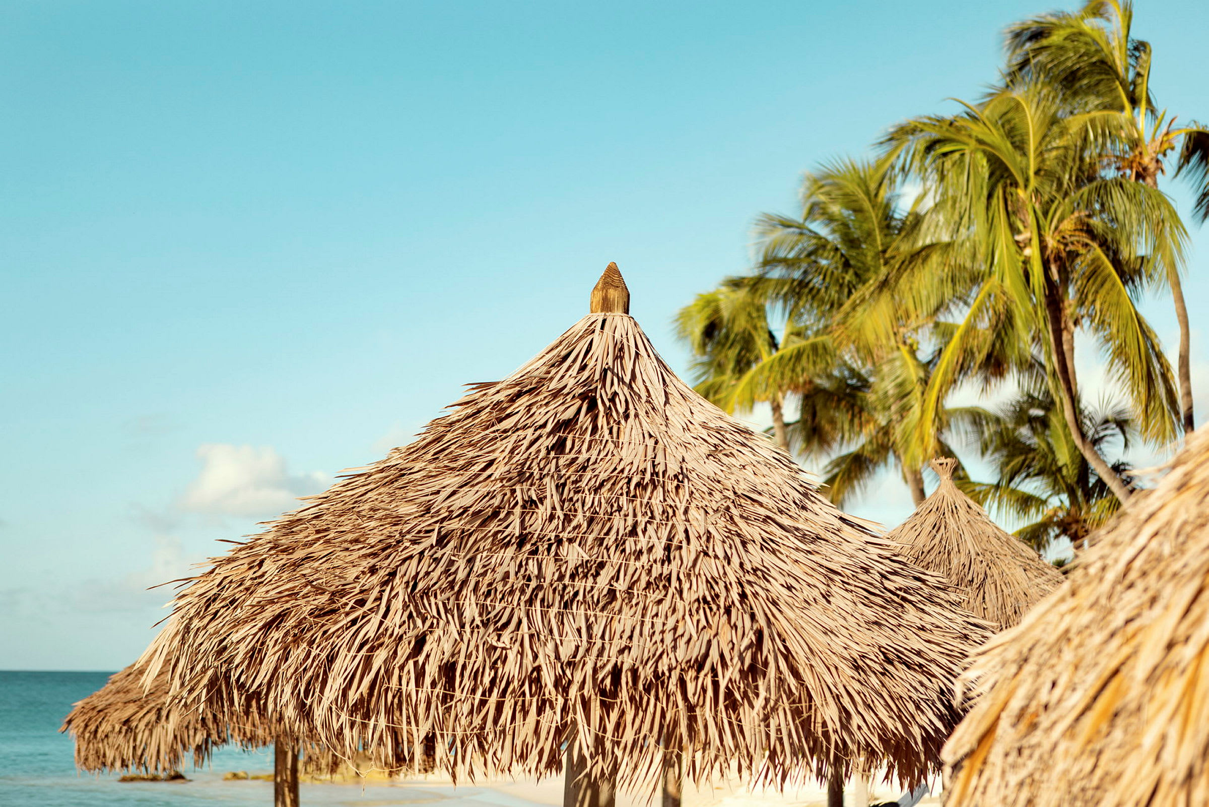 Strandparasoller med palmblad i förgrunden, hav och palmer i bakgrunden. (AI-genererad text)