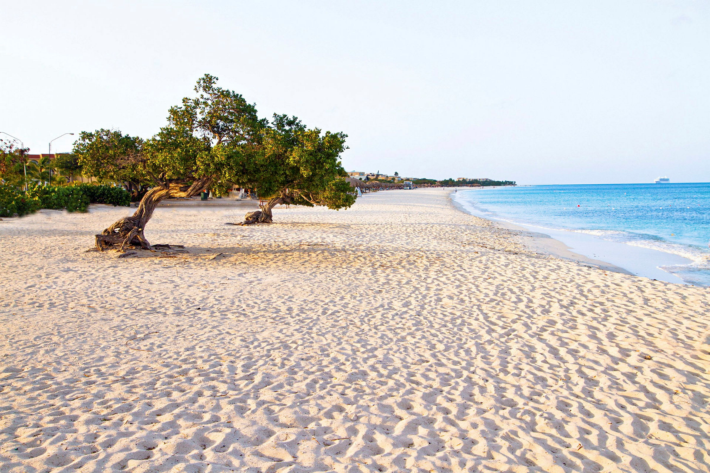 En strand med vit sand och två träd, med havet i bakgrunden. (AI-genererad text)