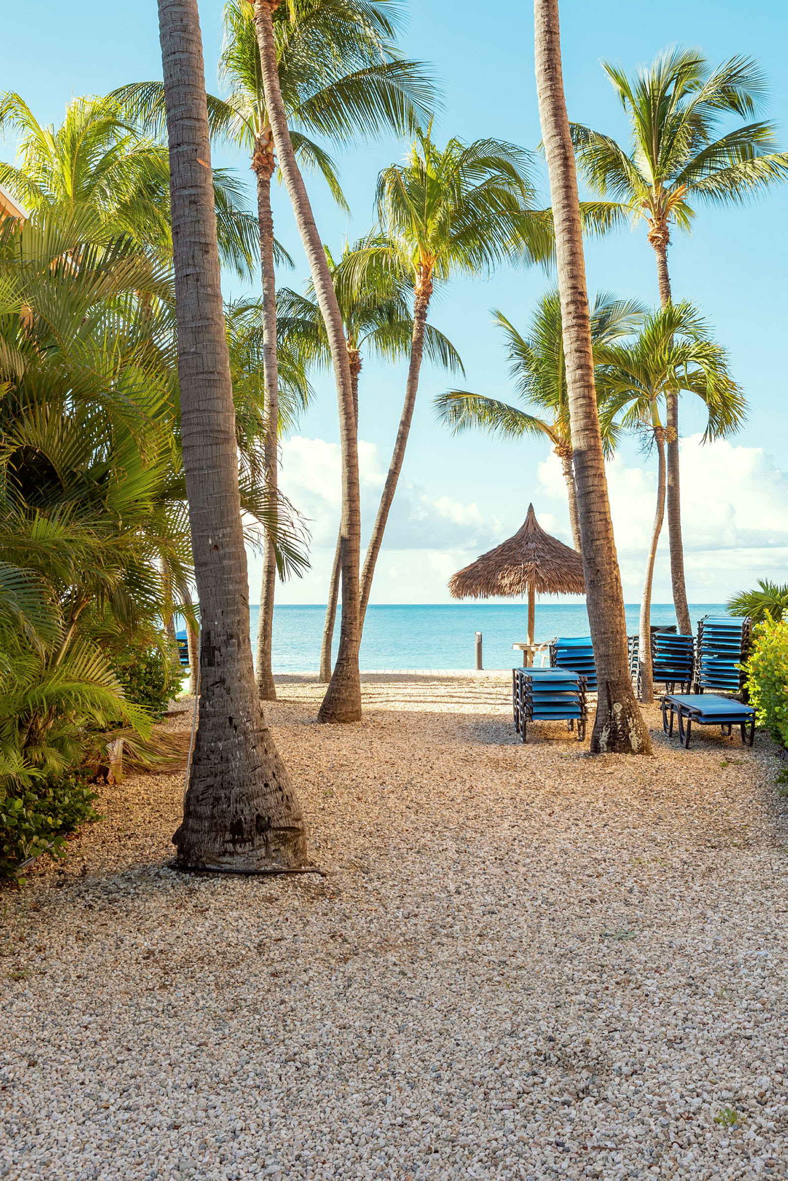 En strand med palmer, solstolar och ett lusthus i bakgrunden. (AI-genererad text)