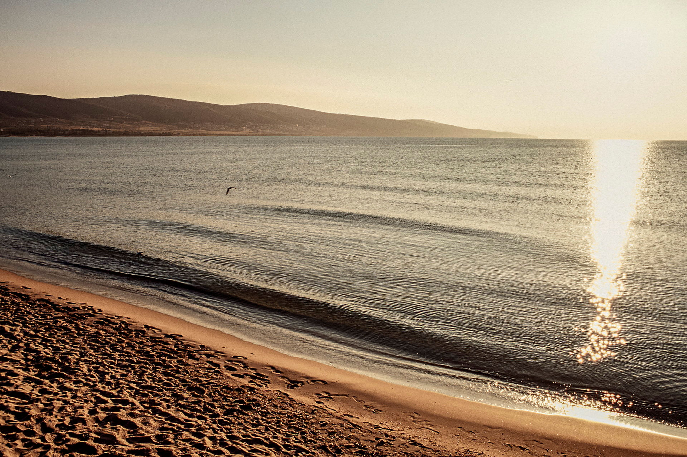 Strand vid havet med sand och vågor i kvällssol. (AI-genererad text)