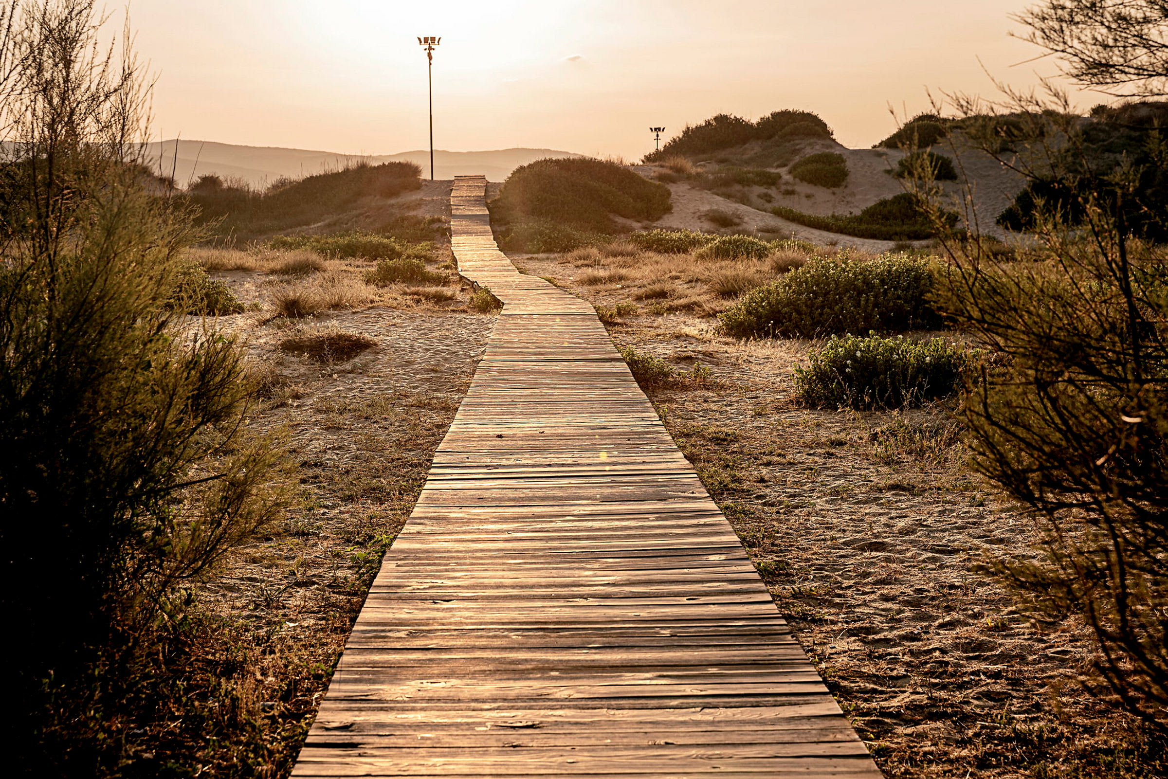 En träboardwalk som sträcker sig genom ett sandigt landskap mot solnedgången. (AI-genererad text)