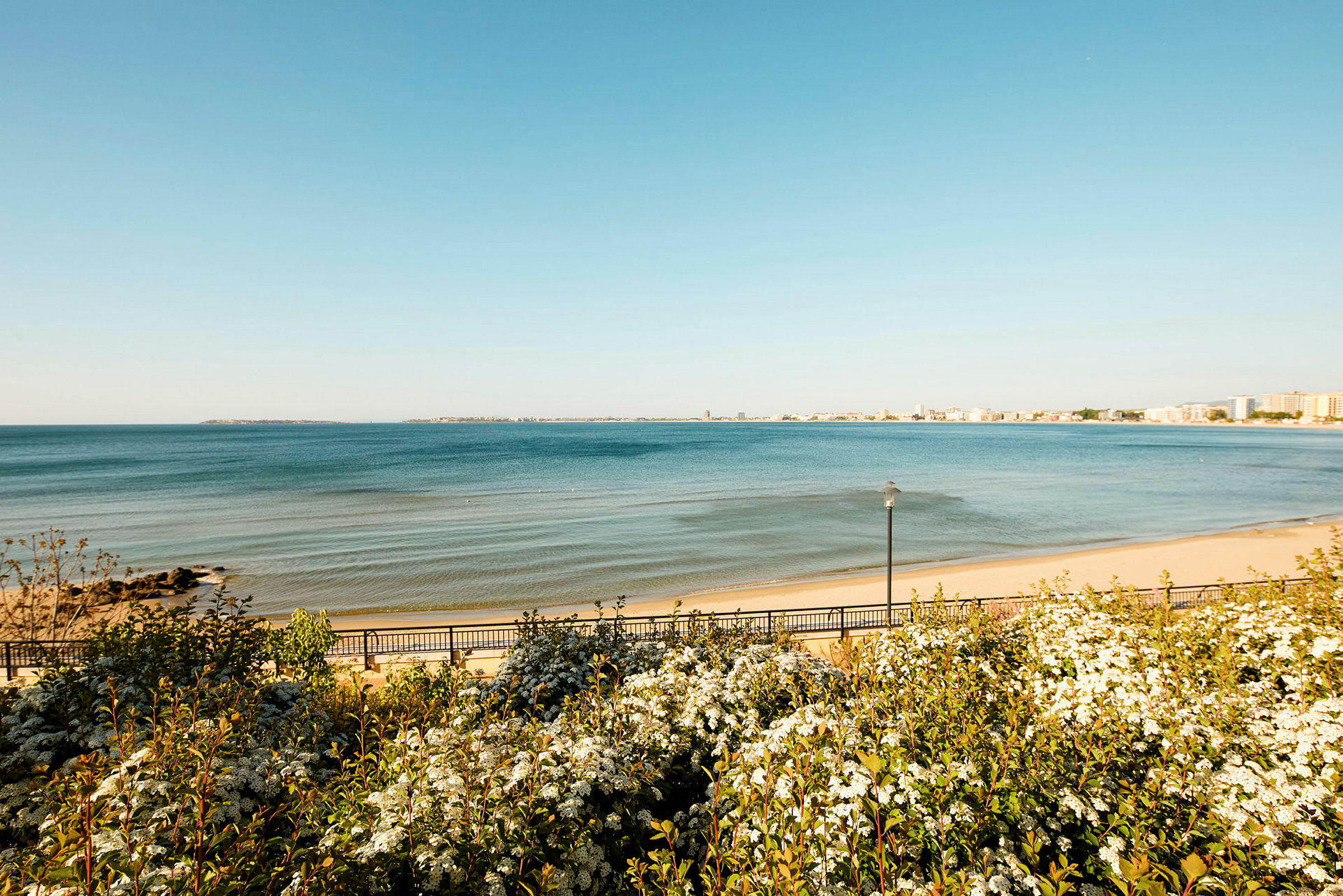 En strand med grönska i förgrunden och havet i bakgrunden. (AI-genererad text)