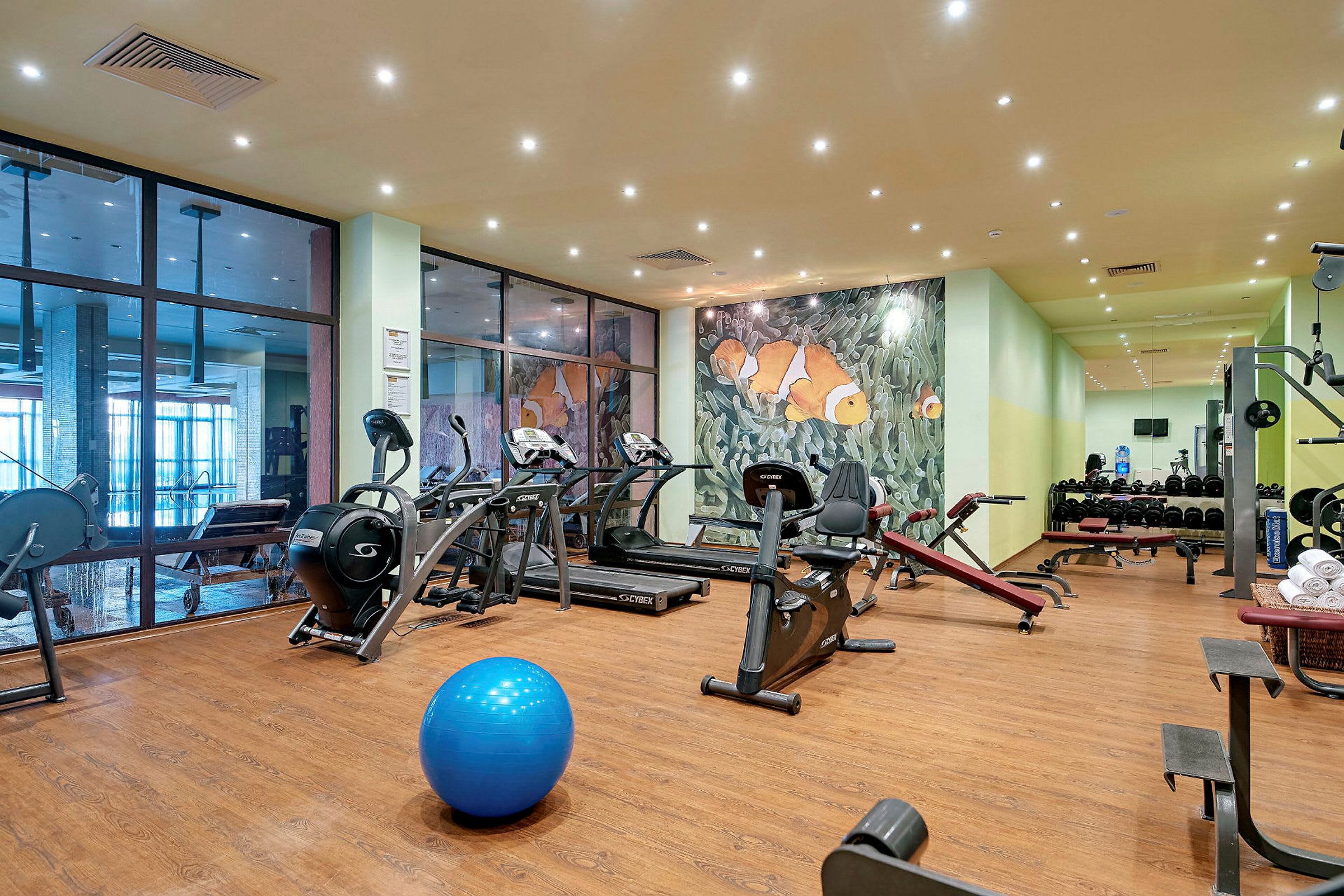 Ett gym med träningsmaskiner, hantlar och en blå pilatesboll. På väggen ses en dekoration med clownfiskar. (AI-genererad text)