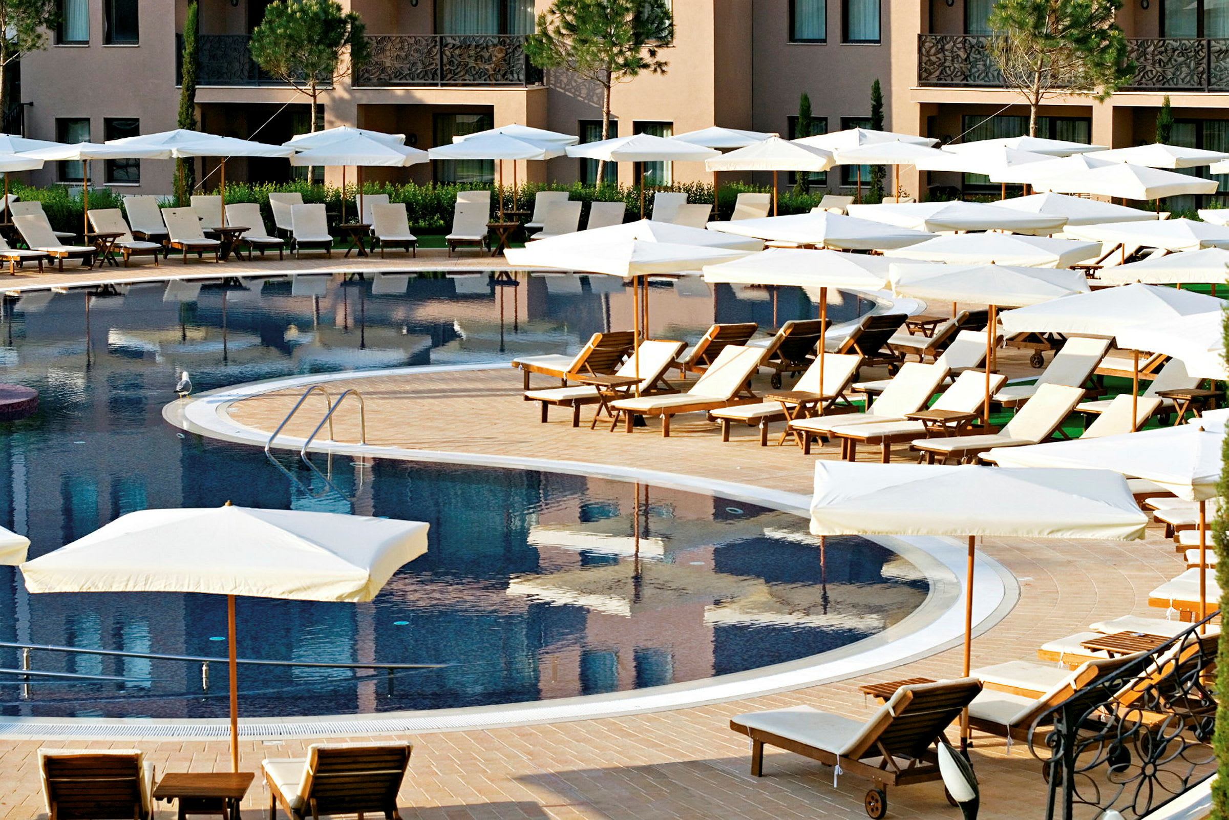 Bild på en pool med omgivande solstolar och parasoller vid ett hotell. (AI-genererad text)