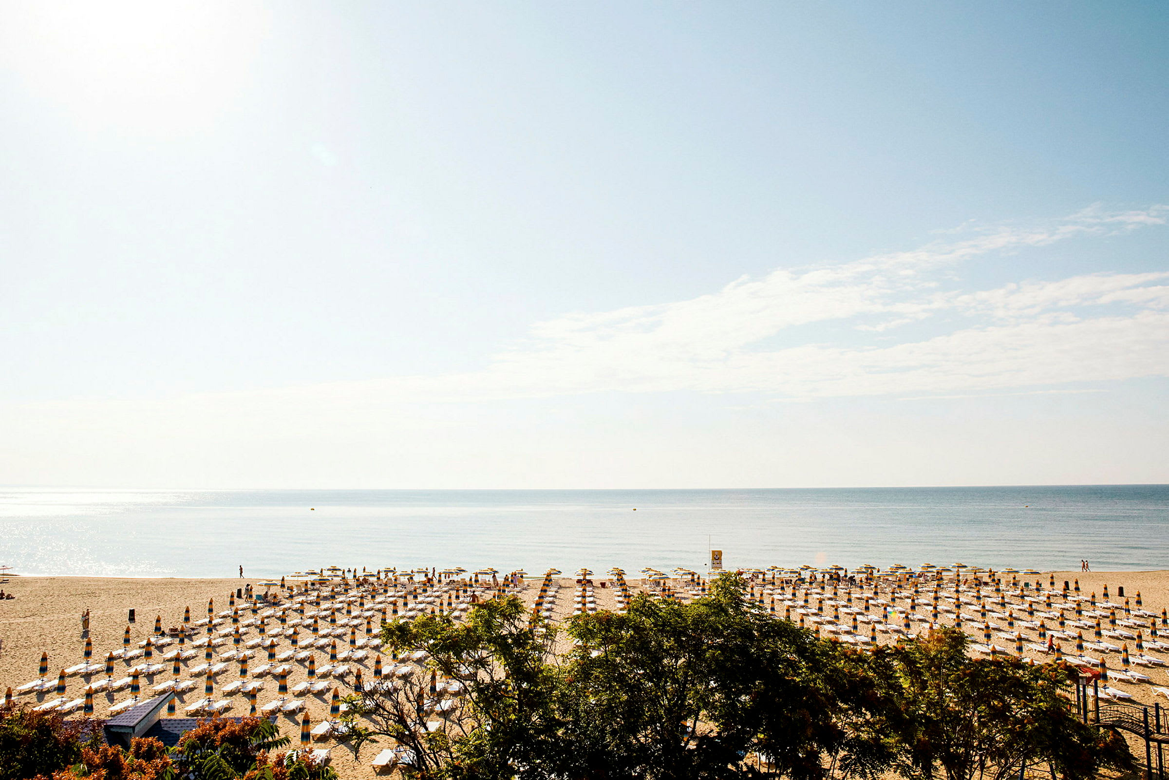 En strand med solstolar och parasoller arrangerade i rader, med havet i bakgrunden och klar himmel ovanför. (AI-genererad text)
