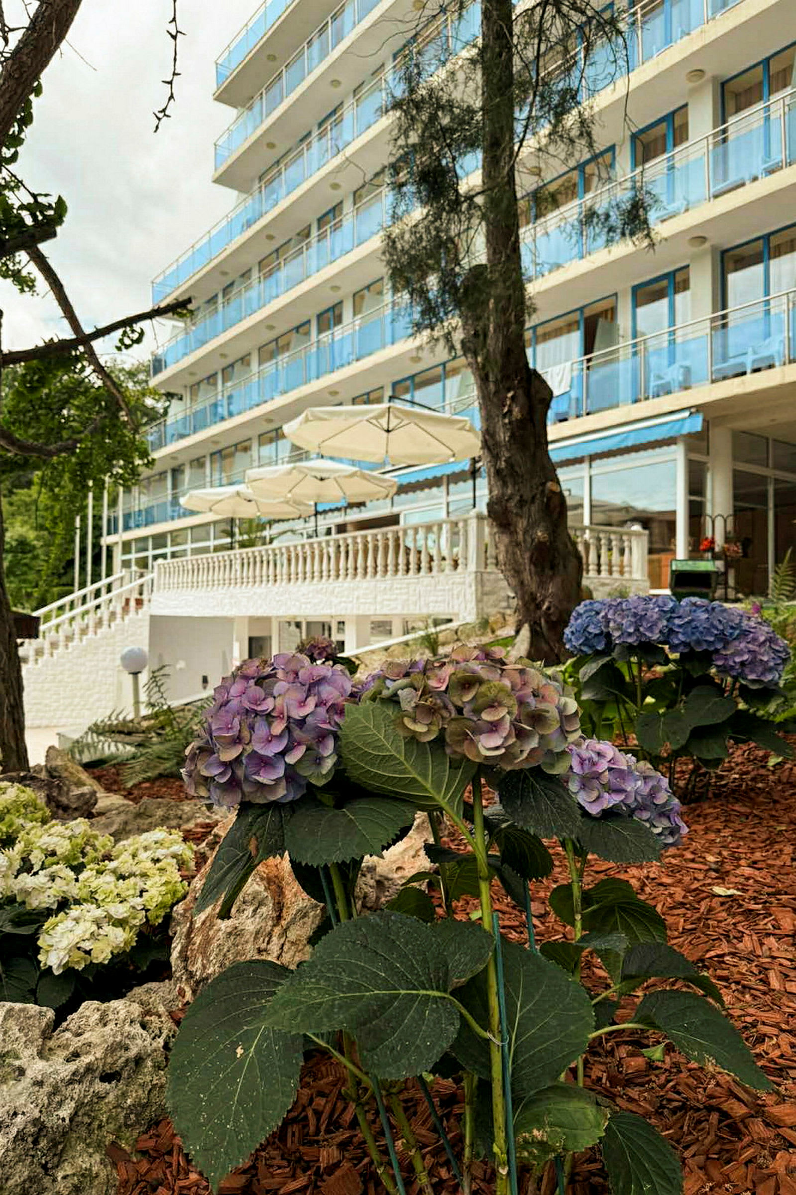 Ett hotell med flera våningar och balkonger, omgiven av blommande hortensior och träd. (AI-genererad text)