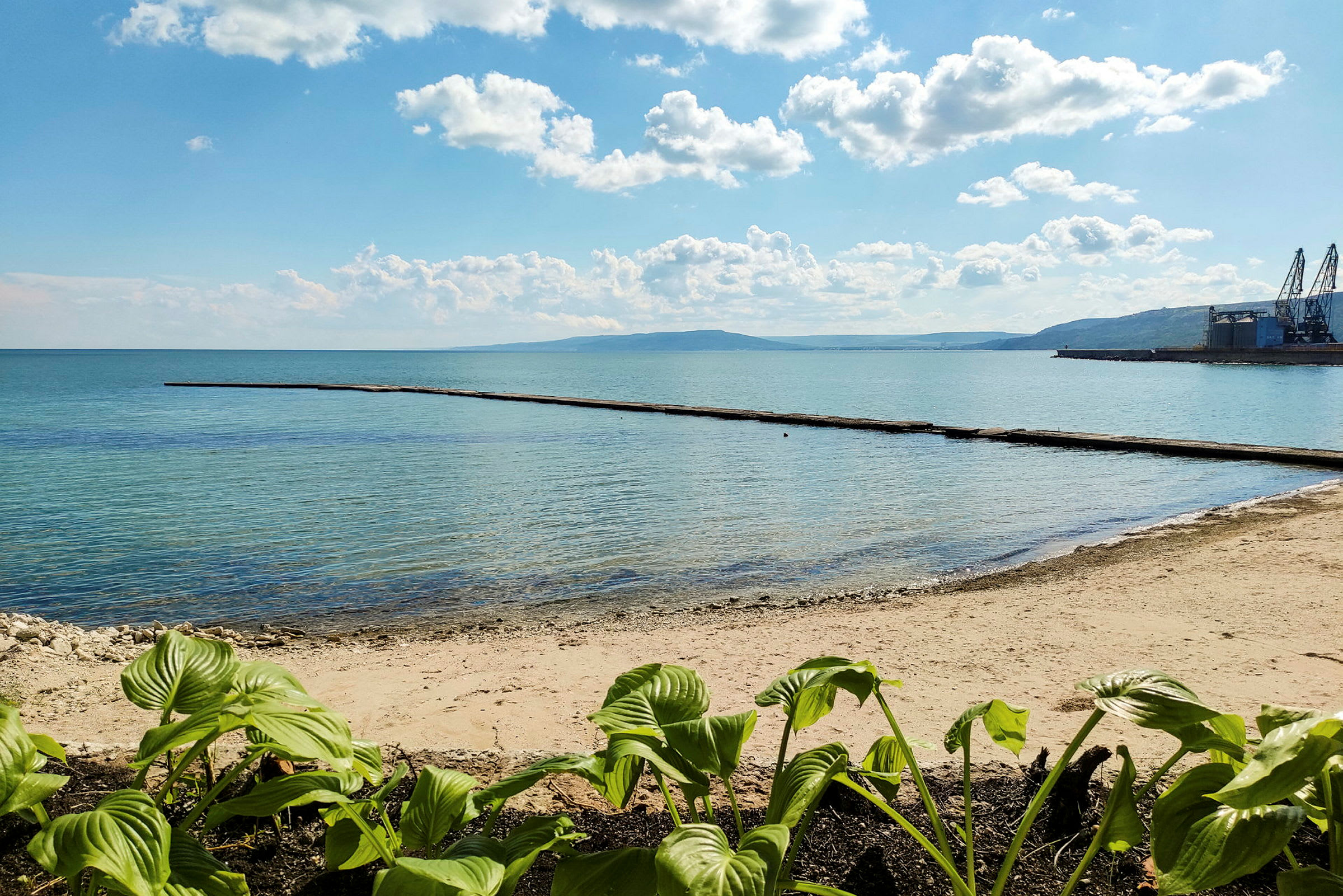 Vy över en strand med klarblått hav, bryggor och frodig grönska i förgrunden. (AI-genererad text)