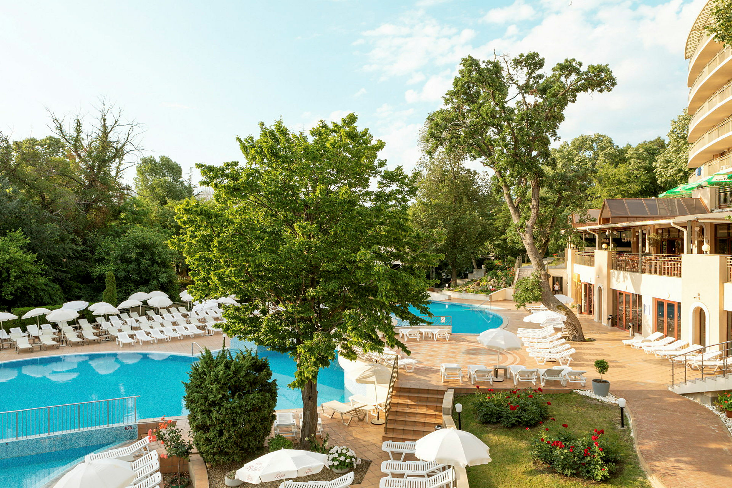 En pool med solstolar och parasoller omgivna av träd vid ett hotellområde. (AI-genererad text)
