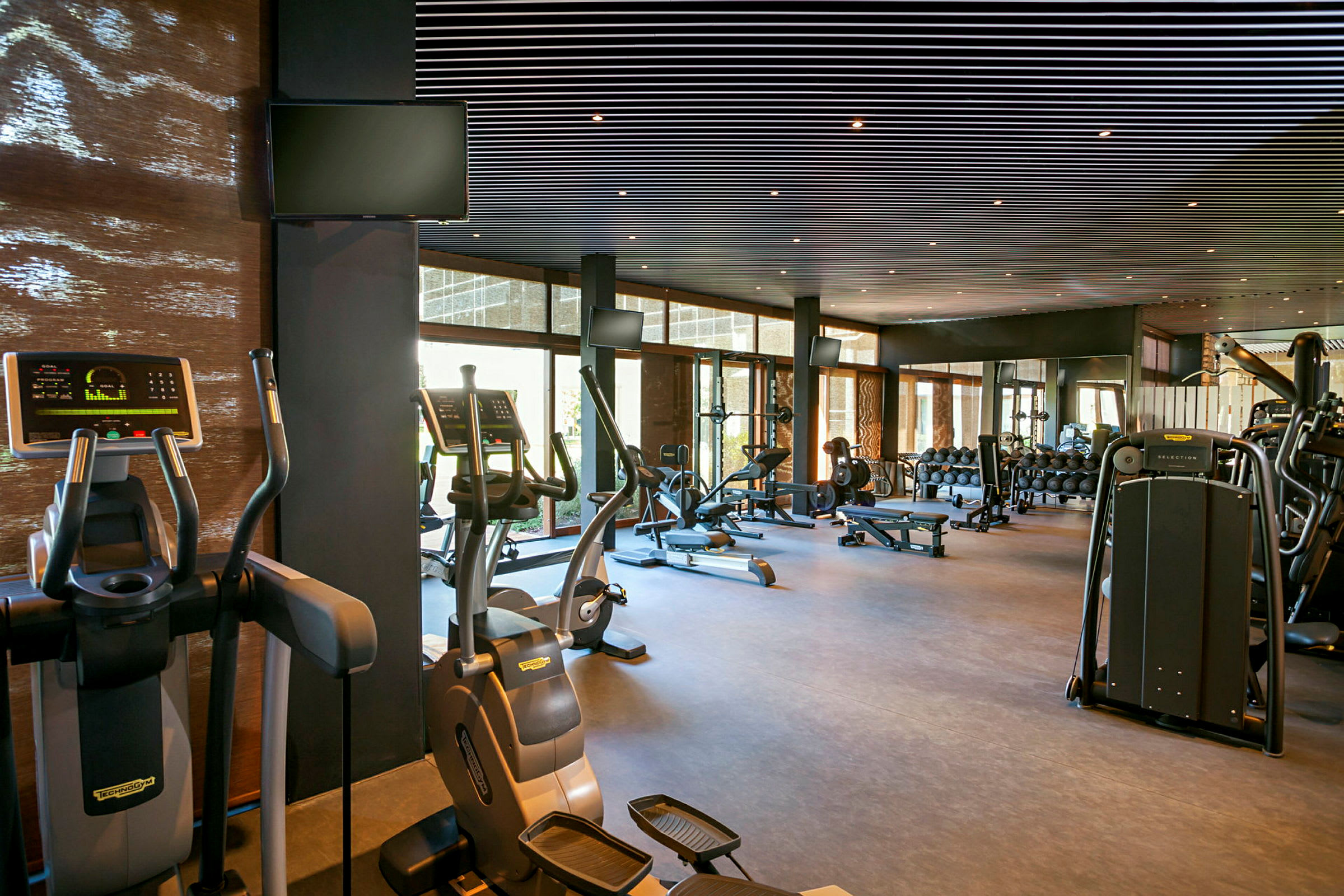 Ett gym med träningsmaskiner och fria vikter. (AI-genererad text)