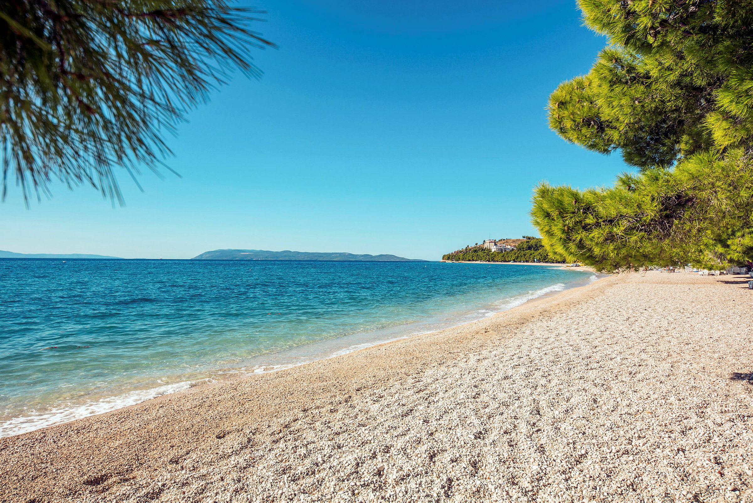 En solig strand med grus och turkost vatten, omgivet av gröna tallar. (AI-genererad text)