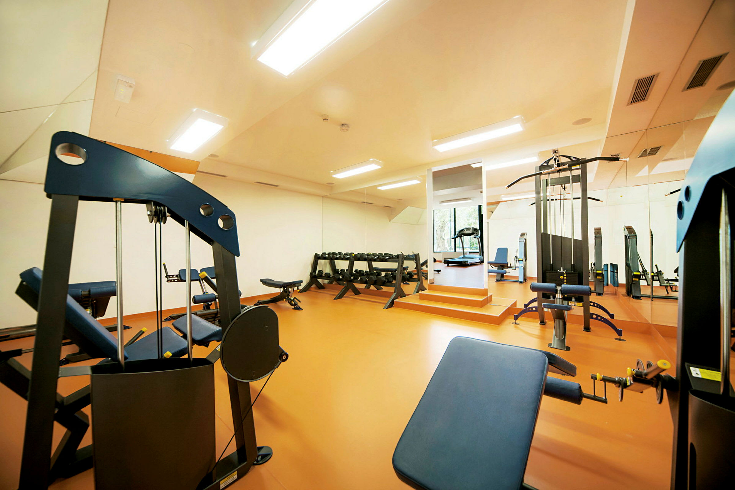 Gym med olika träningsmaskiner och fria vikter. (AI-genererad text)